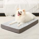 Orthopedic Dog Bed Egg Crate Foam Pet Mat with Removable Cover Plush High Quality and Washable Small Dogs Bed 17x12 Inch Gray